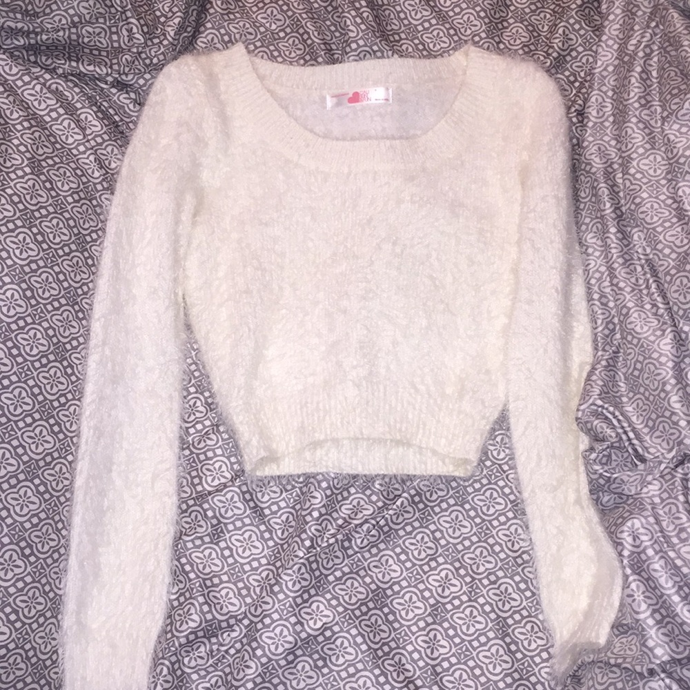 Fuzzy cropped sweater from American Apparel